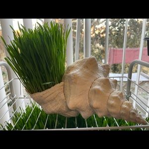 Meet your Posher, Logan